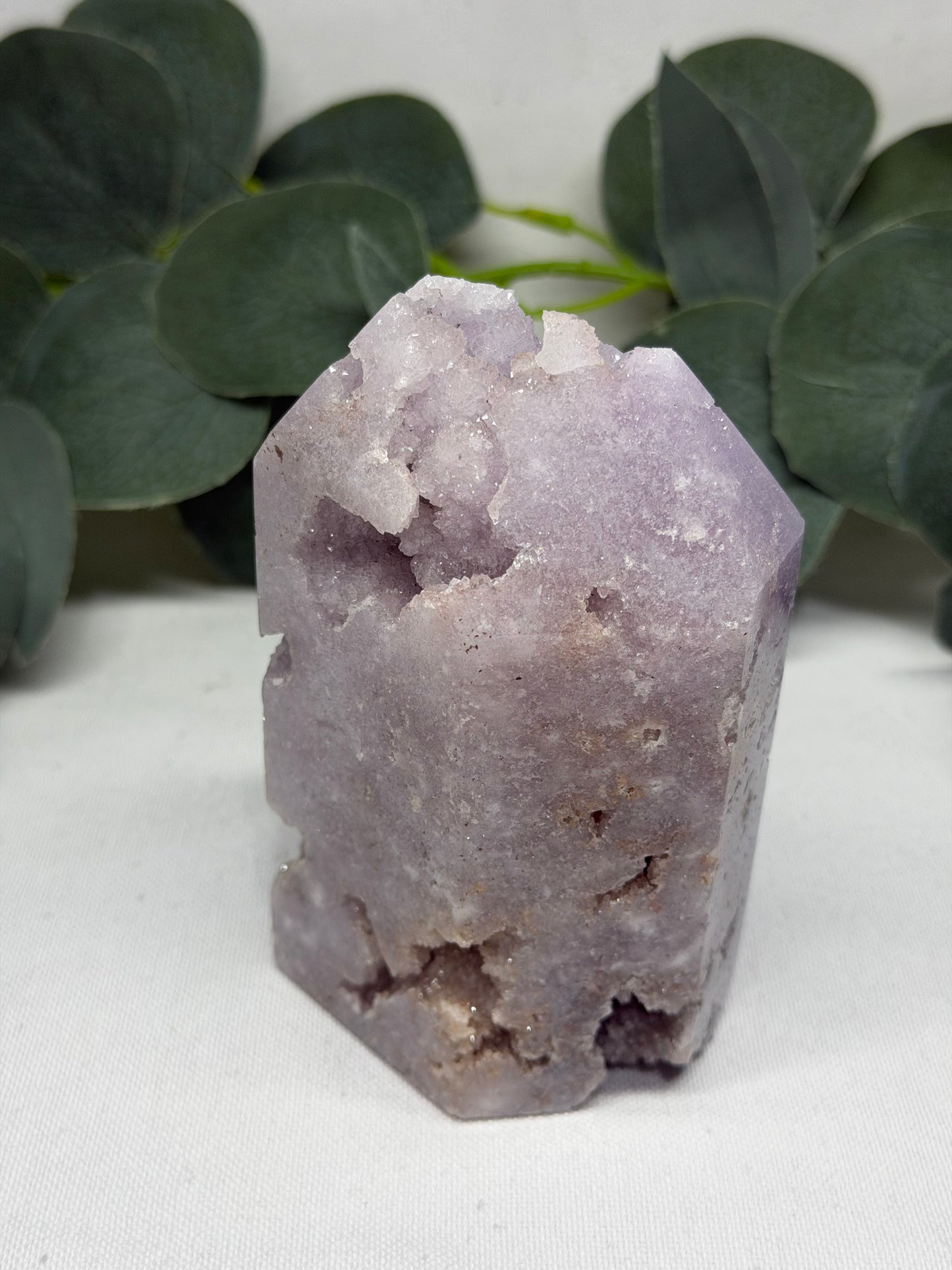 Live Sale - 10.5.26 - Ann Maree