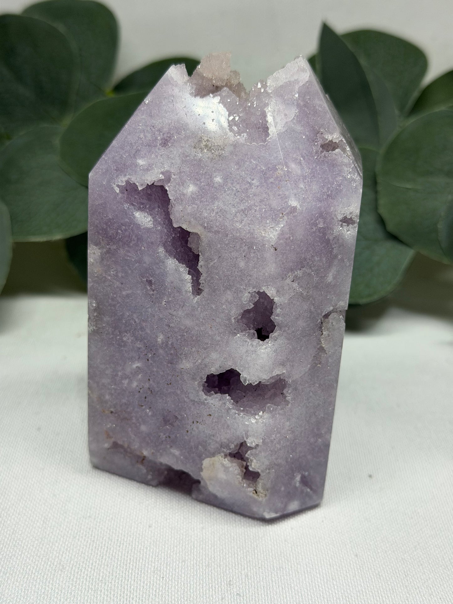 Live Sale - 10.5.26 - Ann Maree