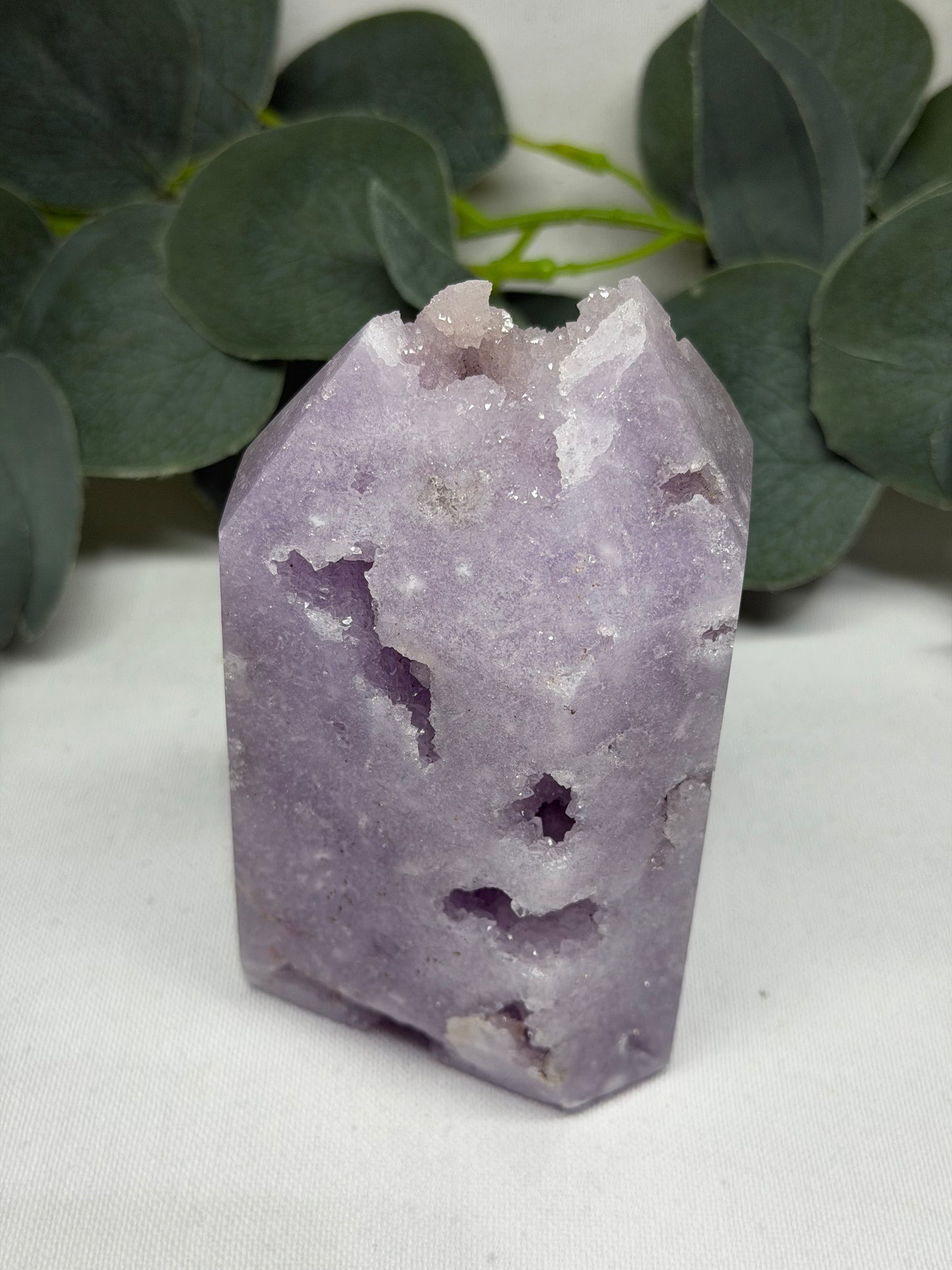 Live Sale - 10.5.26 - Ann Maree